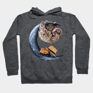 Pale-throated sloth Hoodie